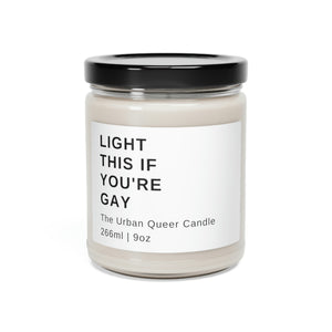 Light This If You're Gay Scented Soy Candle, 9oz