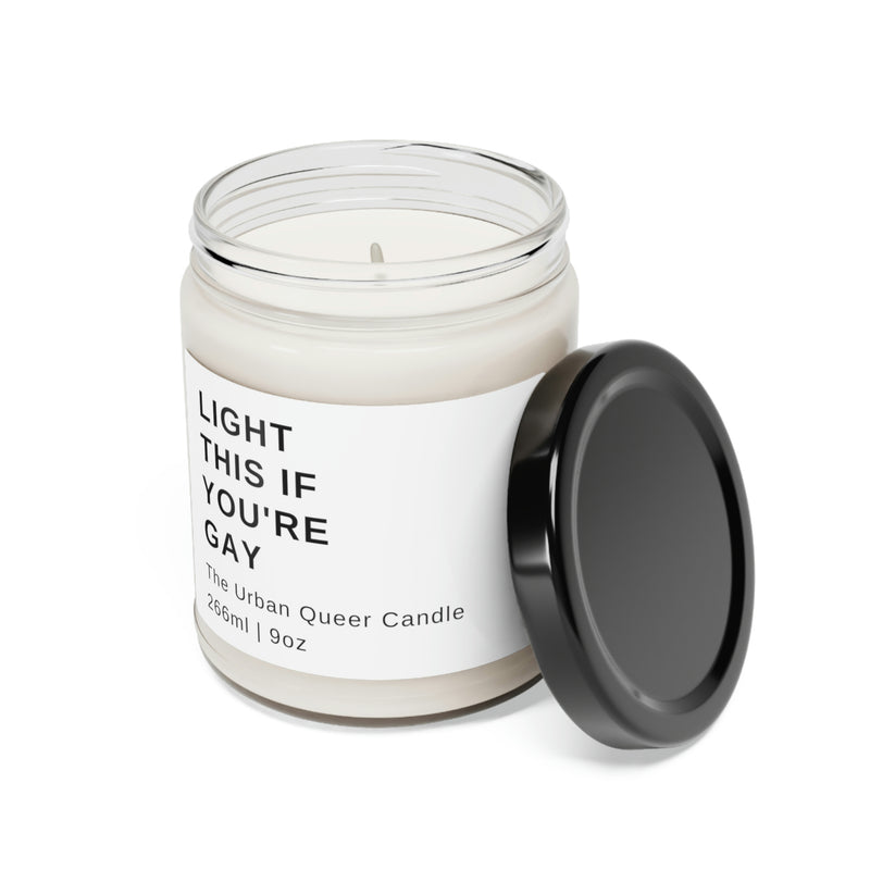 Light This If You're Gay Scented Soy Candle, 9oz